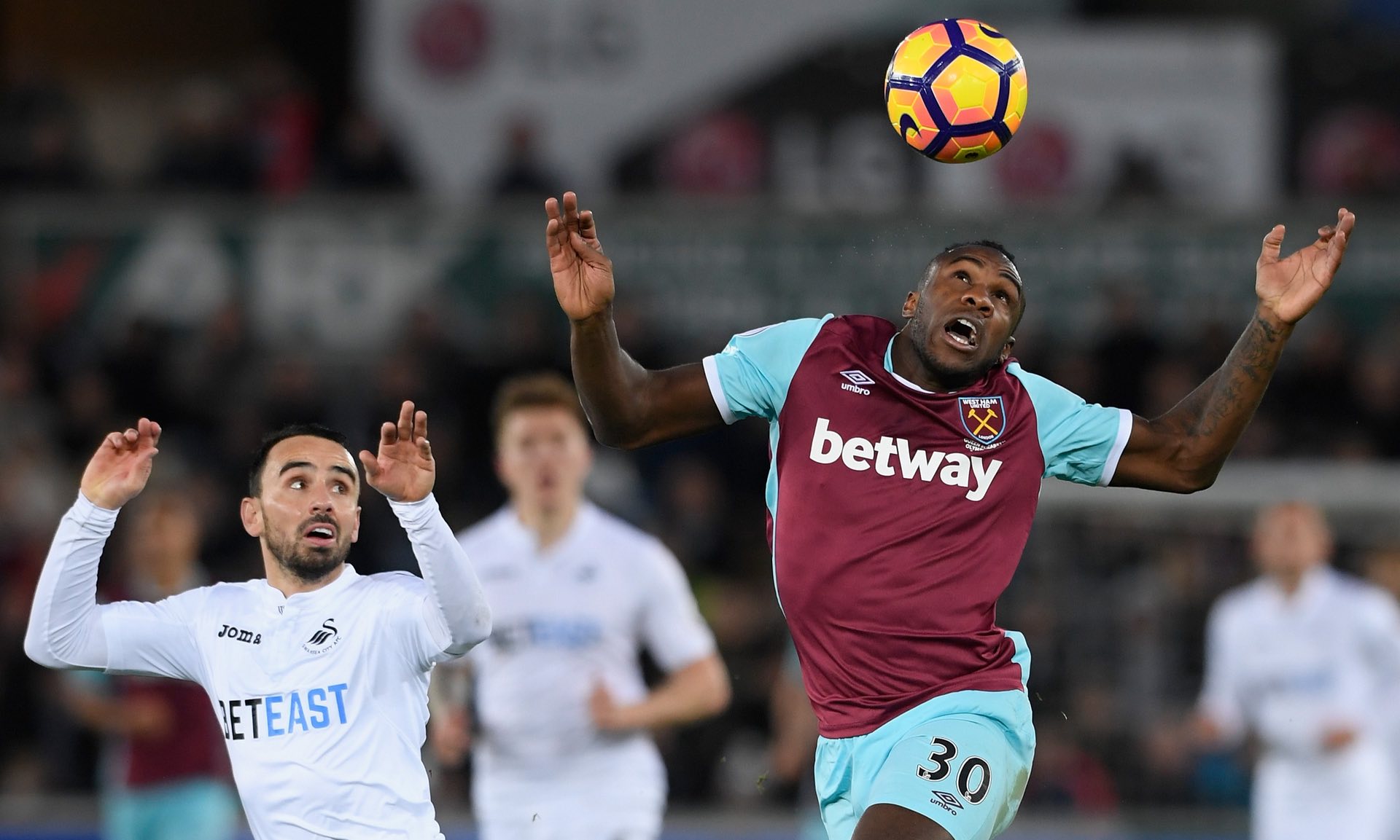 兰提供了有 兰提供了有